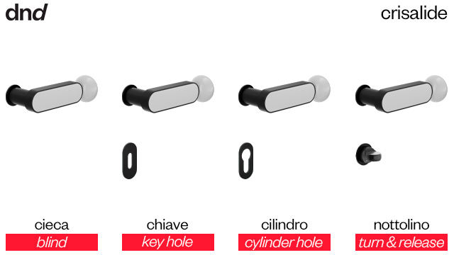 crisalide-dnd-versioni-disponibili